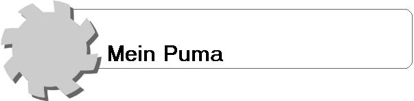 Mein Puma